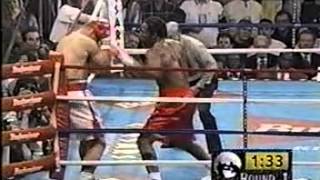 Lennox Lewis vs Andrew Golota [upl. by Zetniuq]