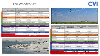 CVI Wadden Sea OUV overview [upl. by Gavini]