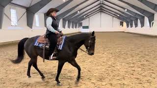 1 Maria Stenberg All breed entry level test 3 [upl. by Temple]