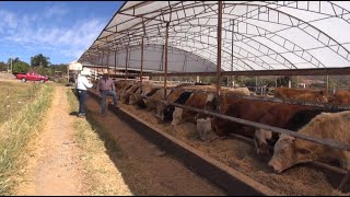 P110 El rancho de la familia Angulo todo el ciclo [upl. by Bancroft]