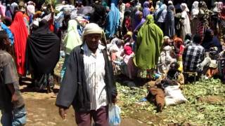 Khat Market Awaday Ethiopia [upl. by Wedurn]