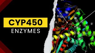 Cyp450 Enzymes  Cytochrome P450  Drug metabolism  Pharmacology [upl. by Neale]