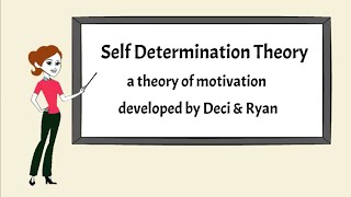 What is Self Determination Theory [upl. by Aimat802]