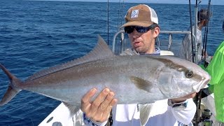 Epic Topwater Amberjacks and Huge Bull Sharks [upl. by Richard]