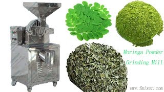 Moringa leaves grindingpulverizingMilling machine [upl. by Burr914]