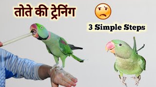 How To Trained your Alexandrine Parrot  अलेक्जेंड्रियन तोते की ट्रेनिंग [upl. by Luann]