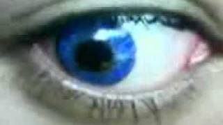 Freshlook Color Contact Lens Colorblends True Sapphire [upl. by Baoj]