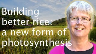 Food security amp photosynthesis making C4 rice  Jane Langdale [upl. by Pyne]