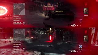 Call of Duty Vanguard Zombies Split Screen Glitch Gameplay [upl. by Nohsram200]