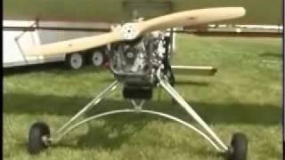 Backyard Flyer Swing Wing ultralight aircraft [upl. by Quintie]