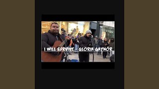 I Will Survive Gloria Gaynor [upl. by Nafis]