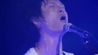 Diver NICO Touches the Walls Live [upl. by Dylana773]