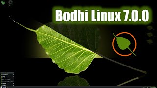 Bodhi Linux 700  Installation and Overview [upl. by Ellesij]