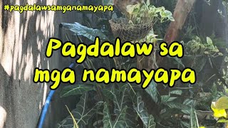 Pagdalaw sa mga namayapa  JSchannel04 [upl. by Ahselaf]