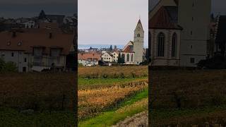 Just an autumn day bodensee youtube travelshorts Deutschland [upl. by Oyek]