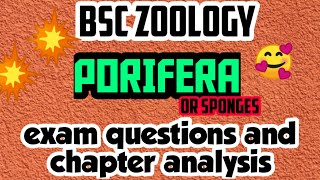 BSC ZOOLOGYPORIFERAPARAZOAFULL ANALYSISEXAM QUESTIONSIN മലയാളം [upl. by Washburn]