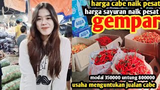 harga cabe malam ini ngamuksayuran gmparpasar induk cibitung9 des 2024 [upl. by Treborsemaj]