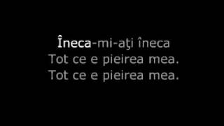 Cântec între apele ţării  Doru Stănculescu [upl. by Arst369]