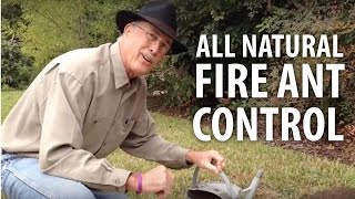 All Natural Fire Ant Control  The Dirt Doctor [upl. by Cherrita314]