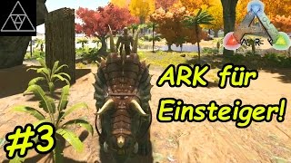 ARK Anfänger Guide 3 ► Tiere zähmen Was ist Torpor Dino Gehege bauen [upl. by Filippa]