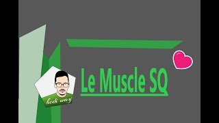 Le Muscle SQ  Part 2  bac tunisie [upl. by Letnuahs643]