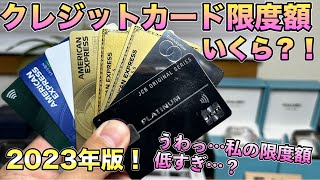 持ってるノーマルからプラチナ・ビジネスカードの限度額を調べてみた！！【ゴールドカード プラチナカード】 [upl. by Leviralc]