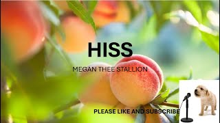 HISS BY MEGAN THEE STALLION LYRICS [upl. by Ikoek]