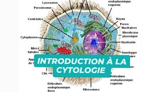 INTRODUCTION A LA CYTOLOGIE [upl. by Assenar]