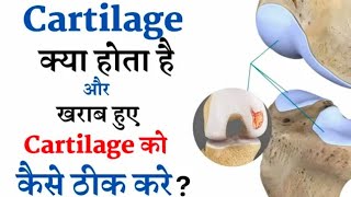 Cartilage क्या होता है खराब हुए Cartilage को कैसे ठीक करें  cartilox go tablet review in hindi [upl. by Nyraa]