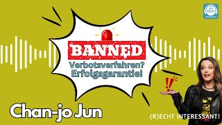 AfDVerbotsverfahren Erfolg garantiert Mit Chanjo Jun [upl. by Hendricks]