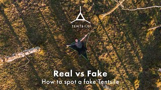 We Tested FAKE Tentsile Products So You Don’t Have To [upl. by Loeb]