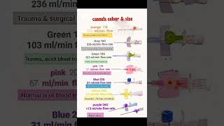 cannula colour and size cannulation nursing short [upl. by Sajet774]