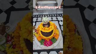 Yogeshwaraya Mahadevaya 🚩🙏🔱🕉🔱🙏🚩 shiv bhajan shortvideo [upl. by Asiret]