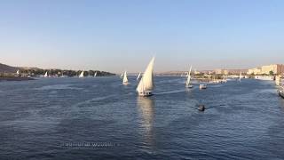 Feluccas on the Nile [upl. by Rats]