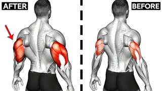 How To Build Your WIDER Triceps workout AT GYM Effective Exercises [upl. by Ttergram]