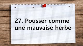 실생활 표현 27 Pousser comme une mauvaise herbe [upl. by Adrahs]