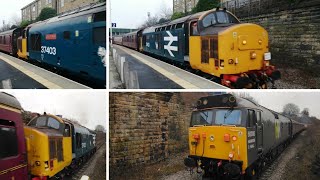 quotThe Technical Cobraquot Railtour  Class 37 37403 quotIsle of Mullquot  Class 50 50008 quotThundererquot [upl. by Prunella]