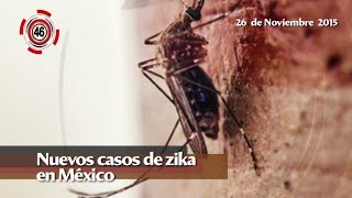 Nuevos casos de zika en México  Minuto con Enfoque [upl. by Mure]