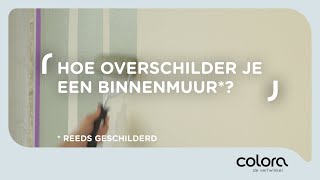 Hoe herschilder je een binnenmuur  Verftips van de colora coach [upl. by Gabbie]