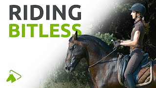 How to Ride Your Horse Bitless Learn with Alizee Froment  wehorse [upl. by Niac]