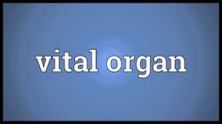 Vital organ Meaning [upl. by Remle153]