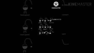 Golden era of microbiology [upl. by Htidra458]