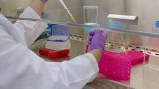 Tissue Culture Series 1 How to Thaw Cells with High Efficiency [upl. by Emalia507]