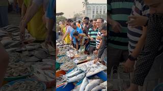 येवा तळोजा आपलाच असा fish seafood fishmarket fishfry fishcurry shortvideo sweetfamily [upl. by Nadya]