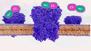 Cystic Fibrosis for Anatomy and Physiology [upl. by Roth958]