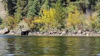 Half Moon Lake Pinedale Wyoming [upl. by Gallenz773]