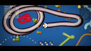 worms game video [upl. by Anuala]