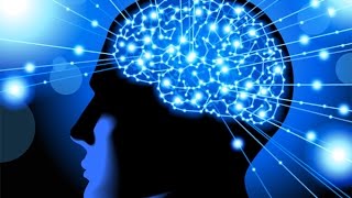 How to Rewire amp Evolve Your Brain to Experience a New Reality  Dr Joe Dispenza [upl. by Eskill913]