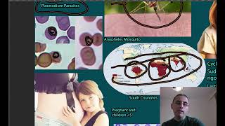 Malaria  Symptoms causes and treatment [upl. by Pavier]