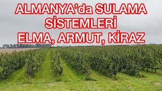 👩🏻‍🌾👨🏻‍🌾Almanya’da elma armut ve kiraz ‘larda sulama almanyadatarım meyveyetiştiriciliği [upl. by Romulus585]